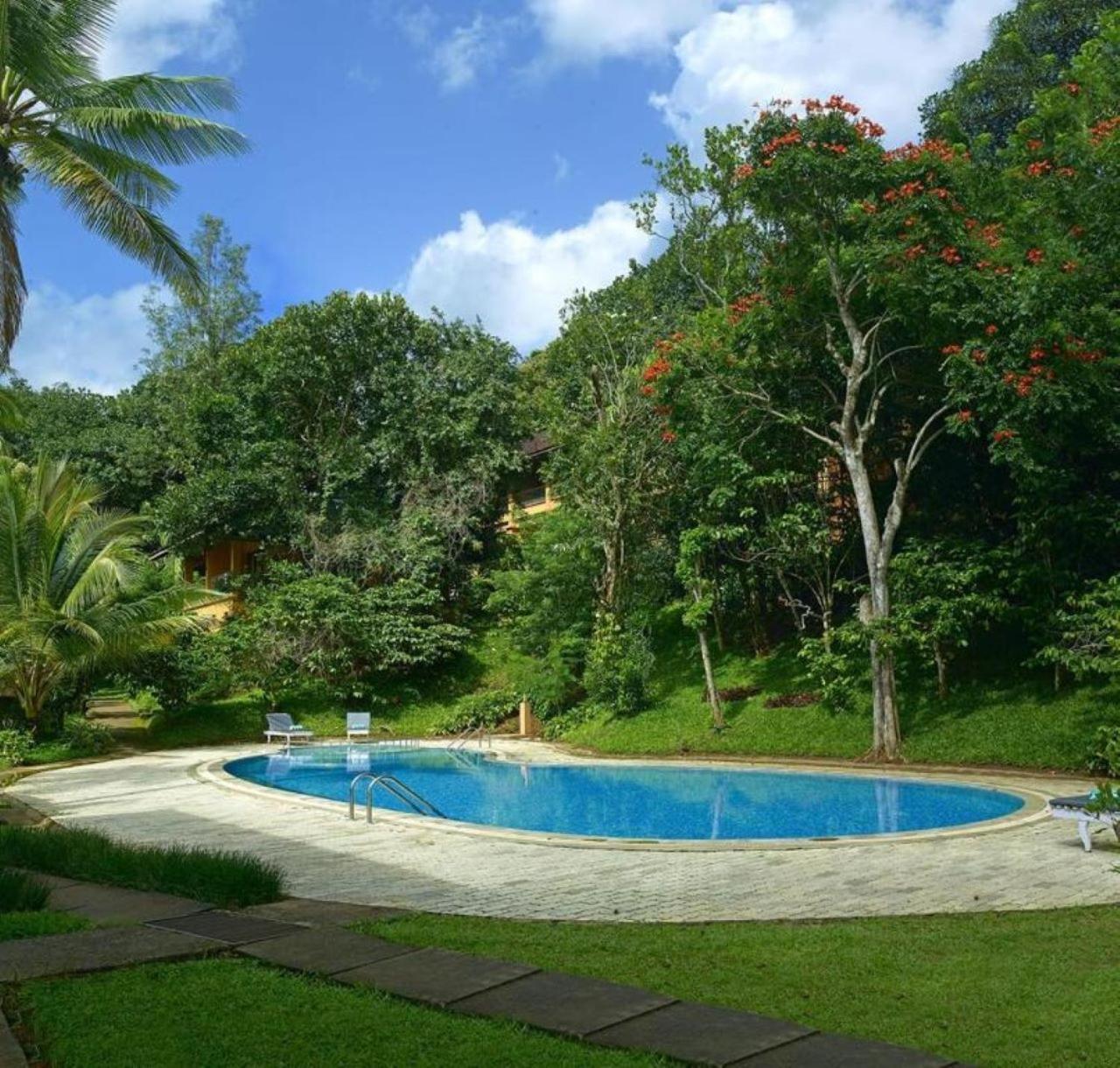 Abad Green Forest Thekkady Kumily Екстер'єр фото