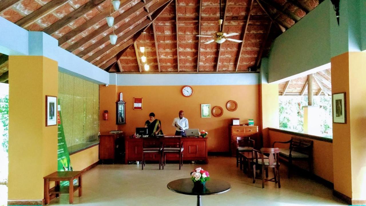 Abad Green Forest Thekkady Kumily Екстер'єр фото